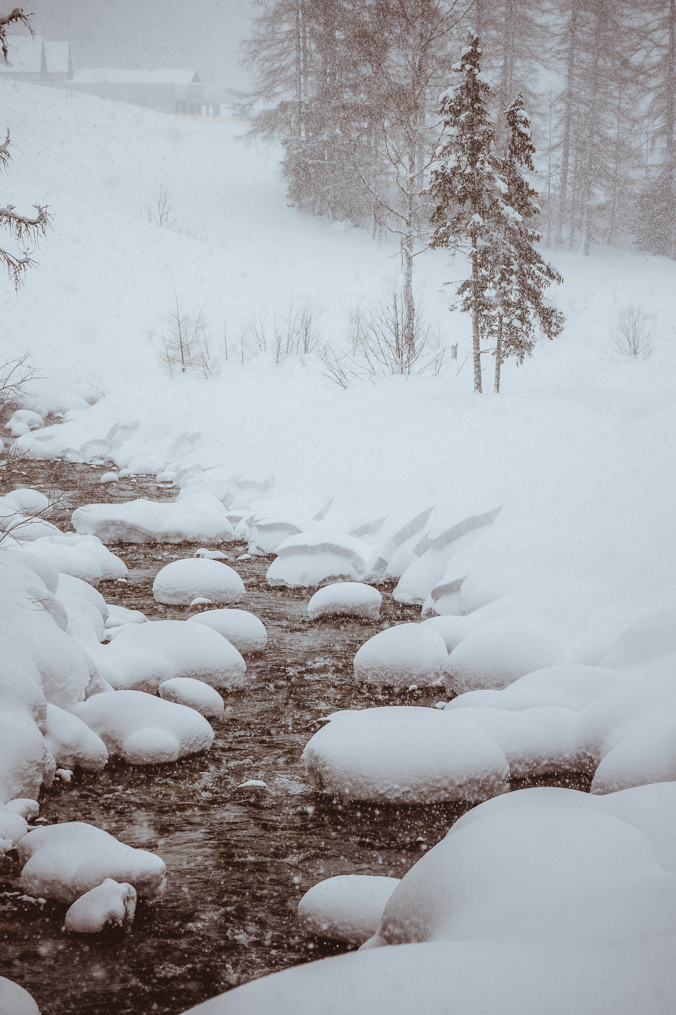 Export x3 1DX29390 Verlobungsfotoshooting 2018 Anna & Dominik